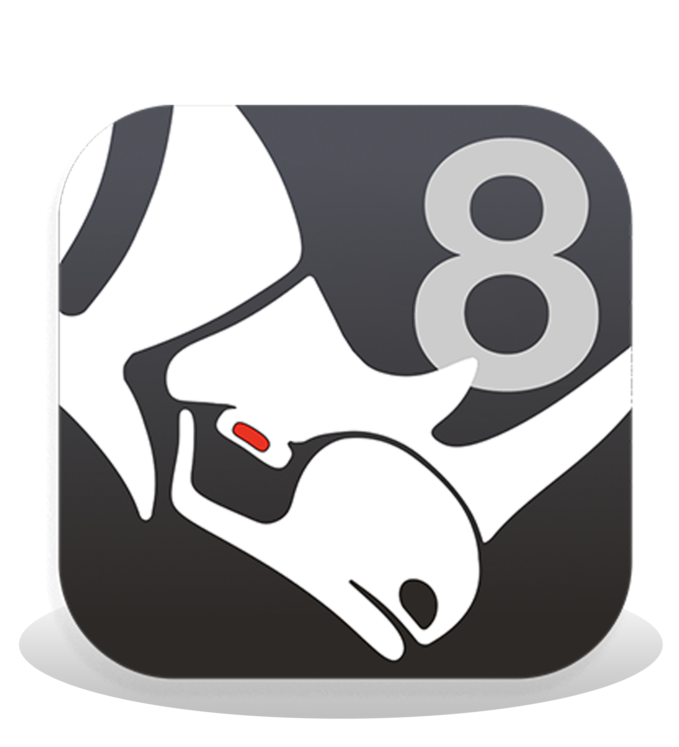 Rhinoceros 8